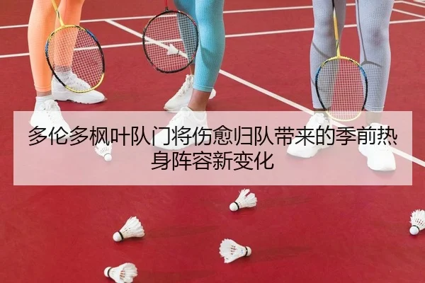 多伦多枫叶队门将伤愈归队带来的季前热身阵容新变化